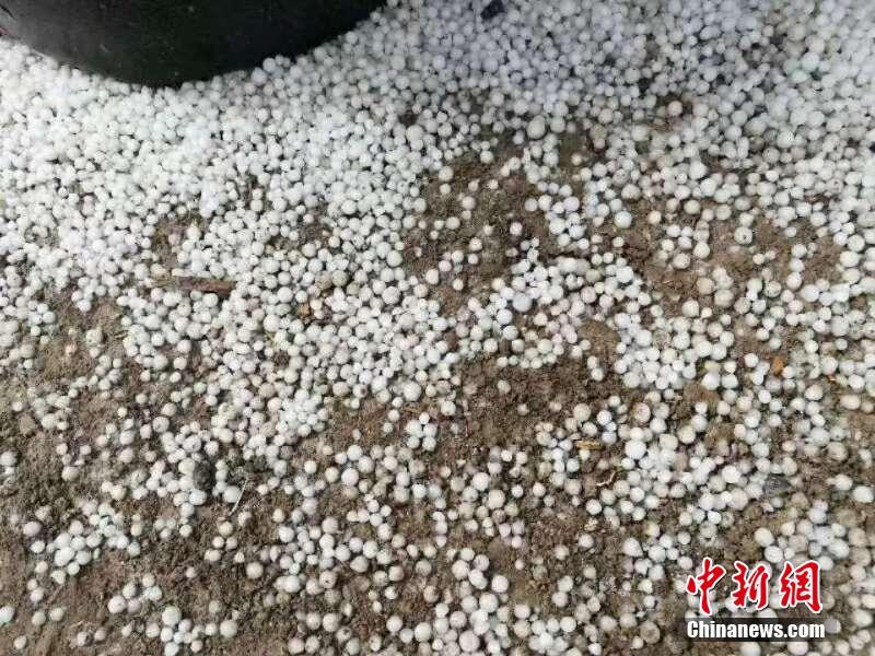 昨天晚上坐網約車回家，跟司機一路聊