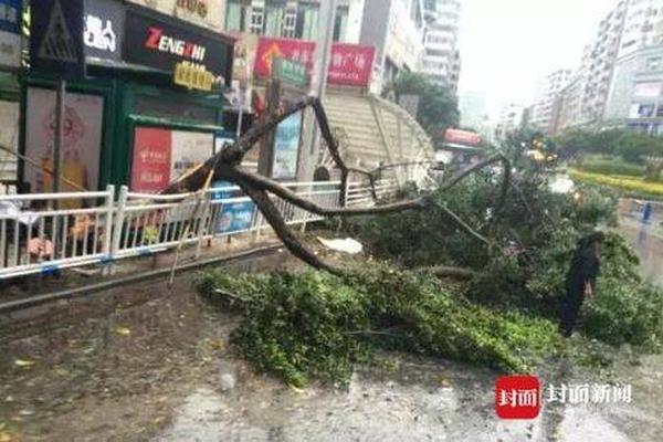 濟南長途汽車總站今起售賣春運客票