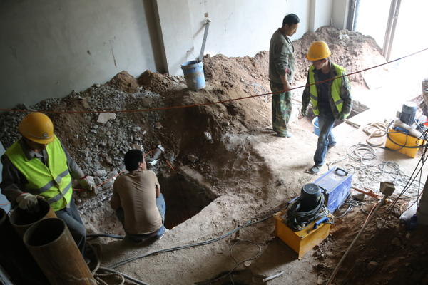 全國政協委員楊洪明：推動源網荷儲協同發力 加快建設新型電力系統