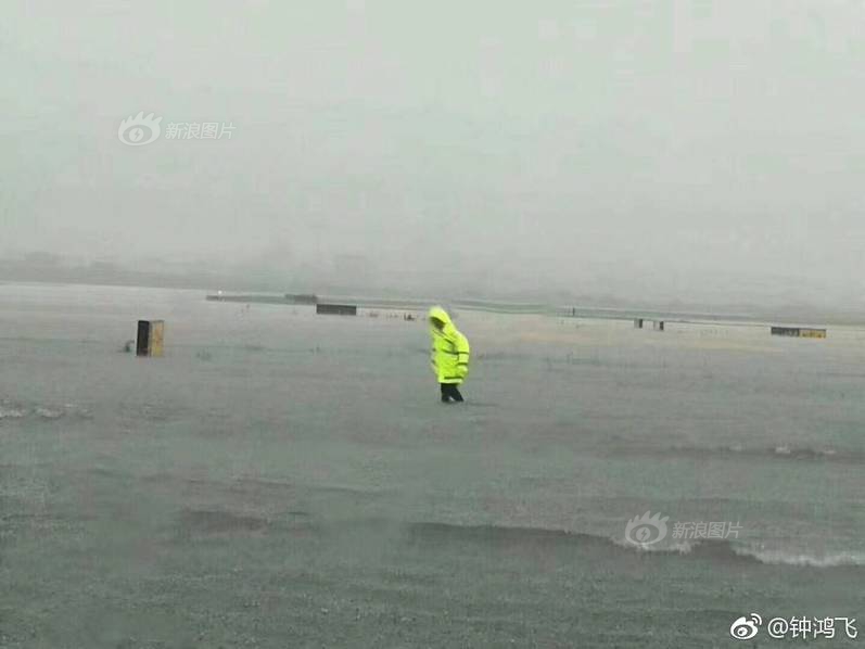 潘辰獲新浪杯海外站亞軍