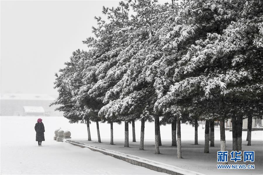 河南電科院研發了10千伏配電網真型試驗平臺
