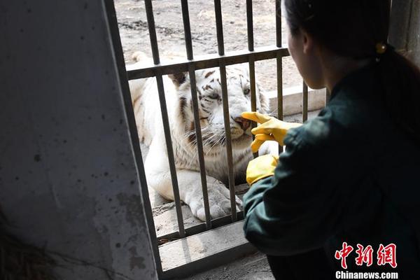國家能源局：推動將生物柴油納入國家核證自愿減排量(CCER)機制