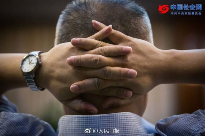 沈騰出席公安部發布會:作品是我們的孩子,盜版像人販子