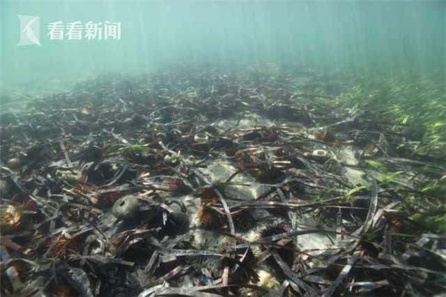 守正創新 凝心鑄魂 奮力開創濟南宣傳思想文化工作新局面