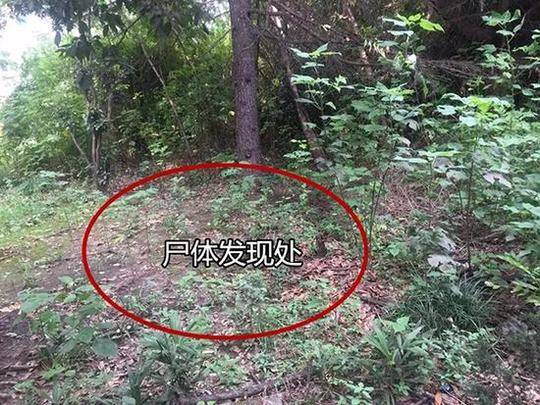 正確看待城市人口收縮，城區(qū)人口降低不代表城市活力下降