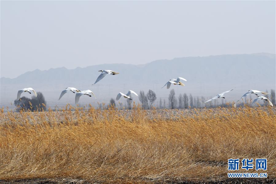 山西潤山實業有限公司退出廣東電力市場