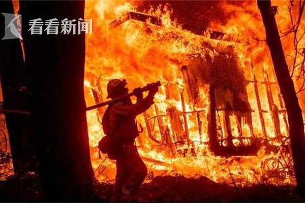 彼歐首個世界級四型儲氫瓶工廠落地嘉定氫能港