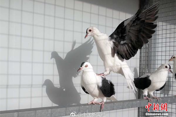 福建 | 年底電費(fèi)突然增多?這些您需要了解↓