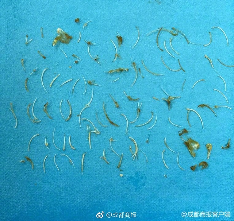 ?闌夕：我看不懂羅永浩了