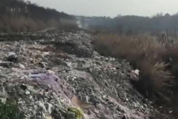 元旦前后，山東各地&ldquo;黃河大集&rdquo;陸續開啟