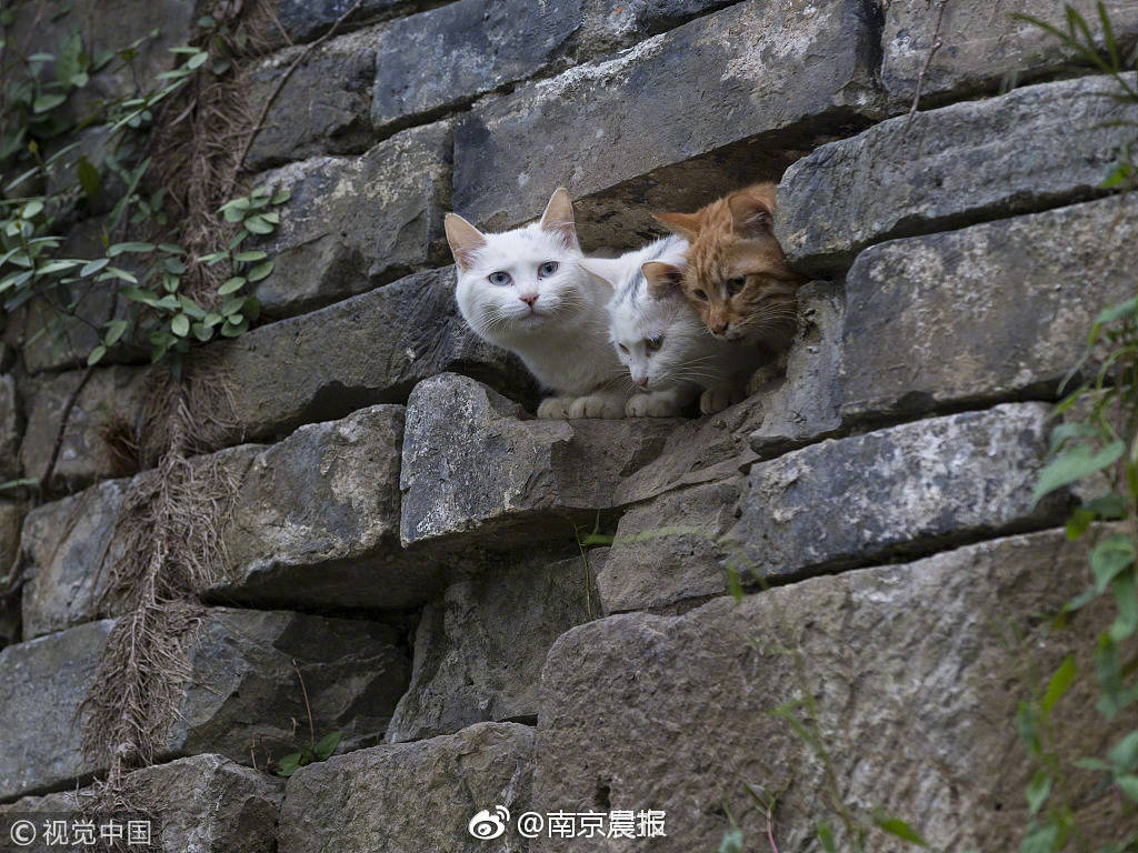 未來三年 浙江麗水將構建生態型現代能源互聯網
