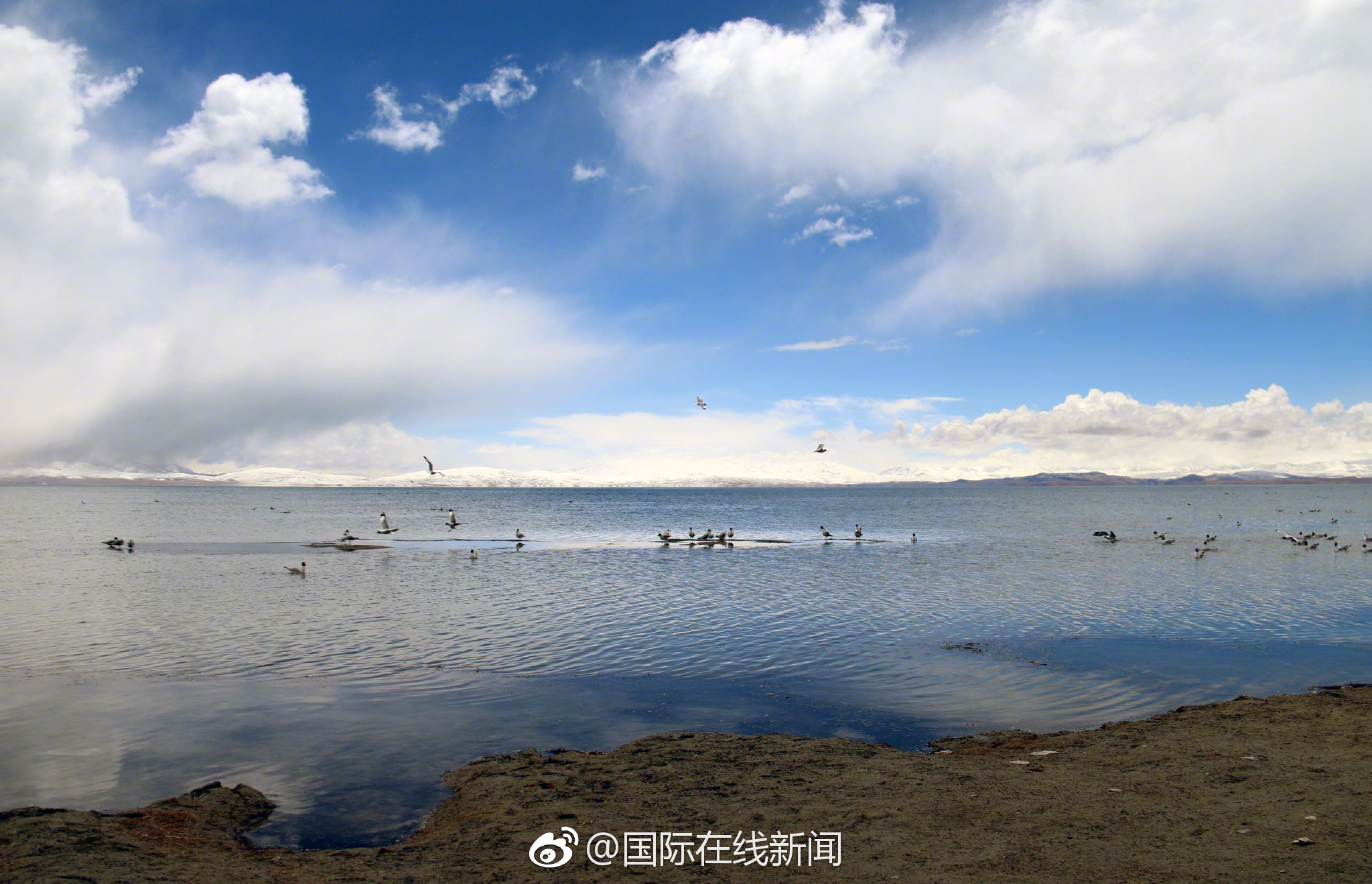 章子怡挺巨肚外出 遭吸二手煙