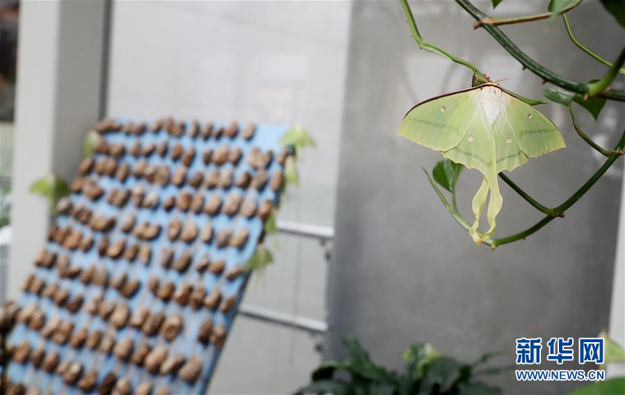 董明珠正式贏得與雷軍的