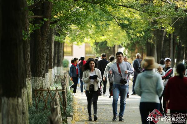 別的狗子會救主人，好家伙，你會暗殺