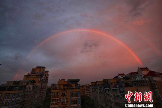 粉黛亂子草花海扮靚泉城秋