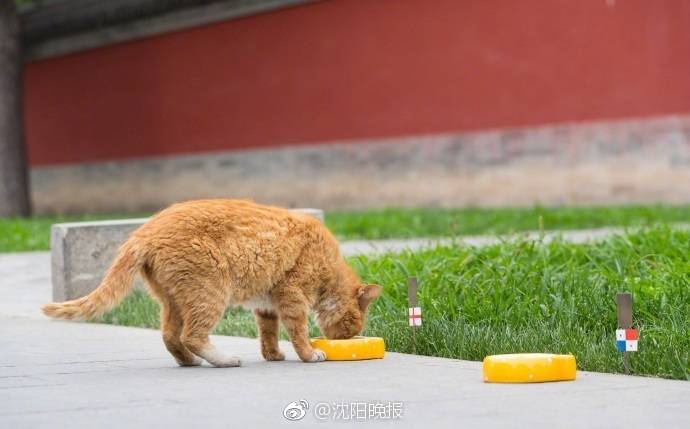 運達股份，打造崇陽“綠富美”