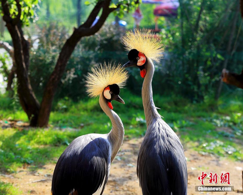 安徽正式開(kāi)展2022年8月份新能源發(fā)電企業(yè)準(zhǔn)入工作