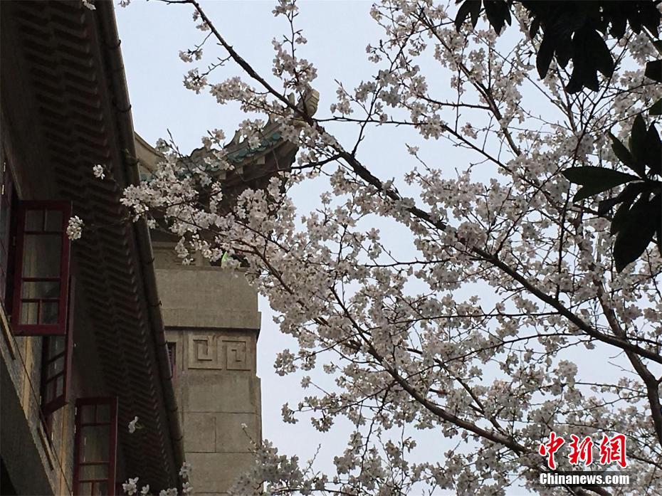 大數據是電力行業未來發展核心