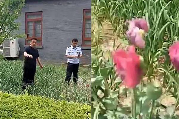 人工智能足彩23中18!小聯賽如何分析?數據告訴你