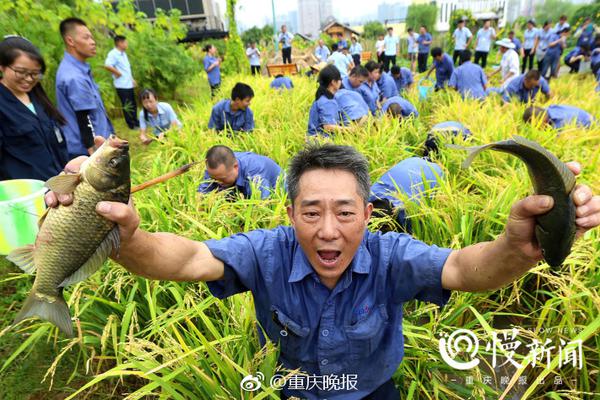 自己造芯片！蘋果曾談判買英特爾調制解調器業務