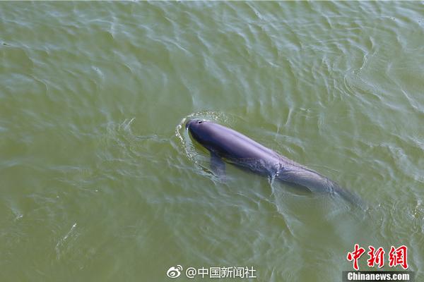 昆柳龍直流工程昆北—龍門雙極低端成功解鎖