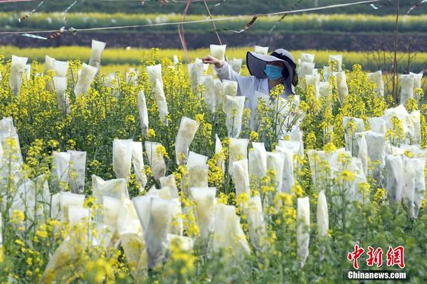 曾被賈樟柯公開感謝的省部級 再度履新