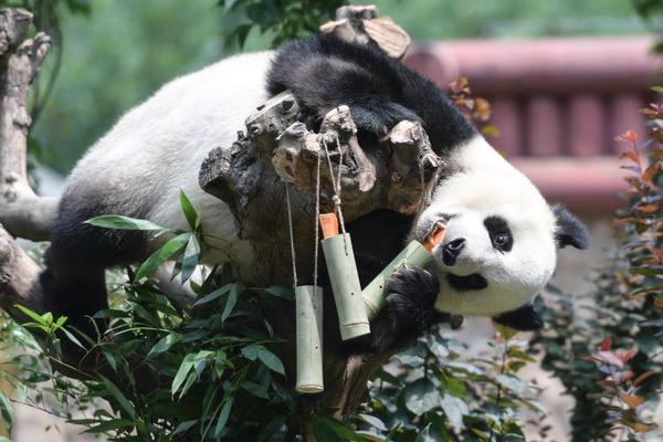東軟載波:為了忘卻的紀念 被低估的電力線載波通信