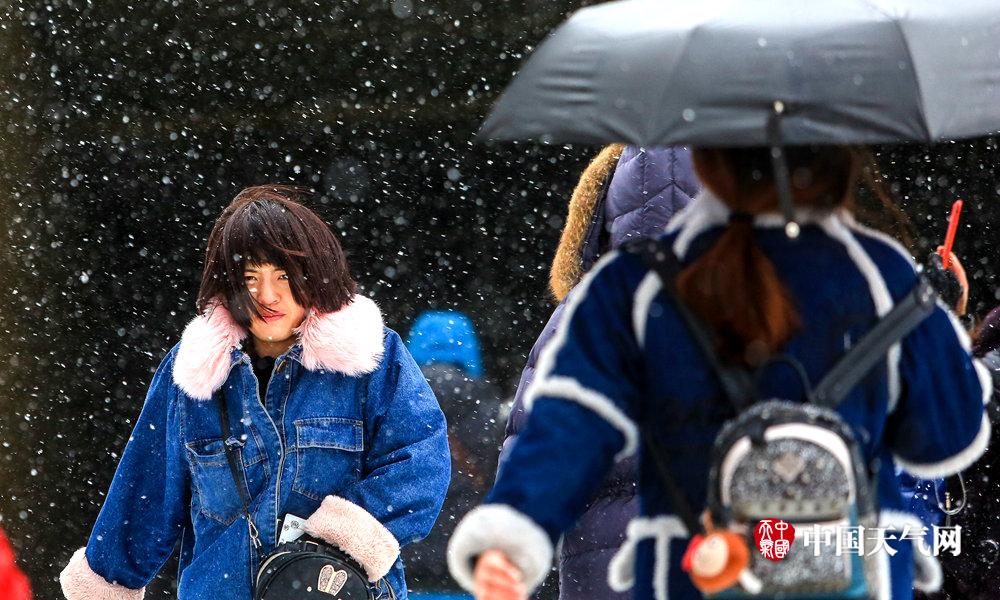 今年能源供需回顧與明年形勢研判