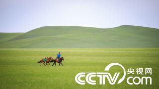 河南鄭州數據交易中心成立：5項電力數據交易產品現場簽約