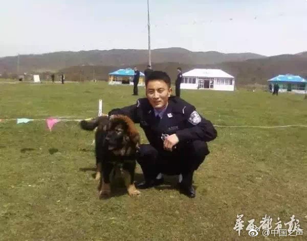 國內首次利用視頻會議形式對特高壓系統遠程調試