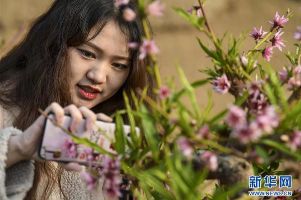湖南常德一文物保護標志碑遭人為破壞