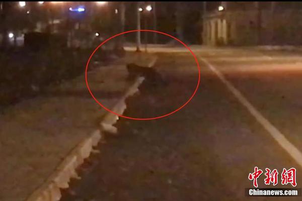 全球首個大規模“氫能自行車系統”在常州投運
