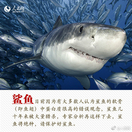 我國抽水蓄能多廠站集控中心投入試運行
