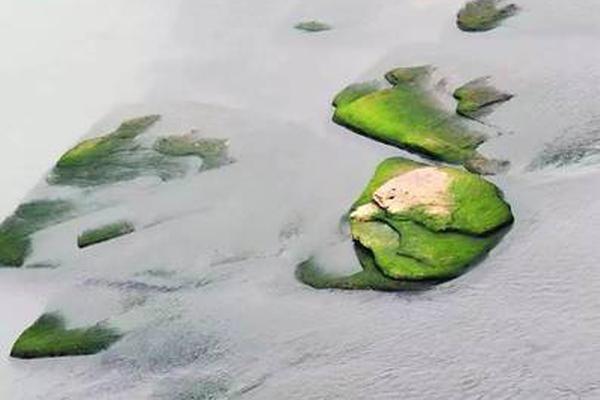 氫能入“法”加氫站“領證” 先行先試的佛山管理辦法還有啥?