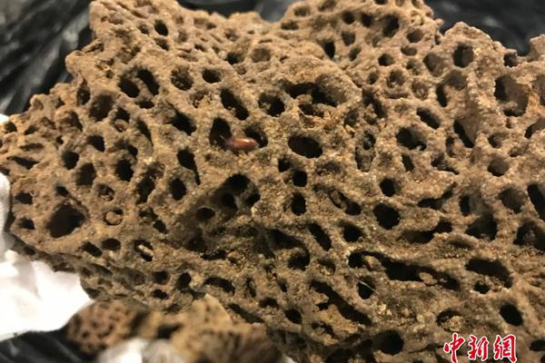 華為侯金龍：能源流與信息流融合 共建綠色低碳城市