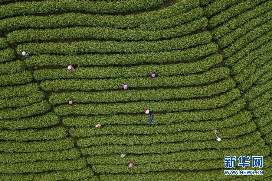 離婚損失補回來了，亞馬遜創始人杰夫·貝佐斯的身價最近超過1700億美元