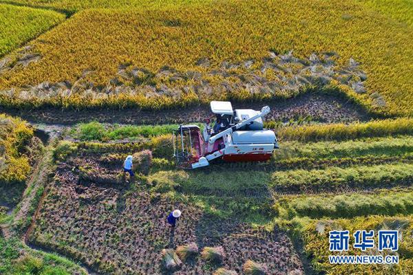 電網是塑料光纖應用突破口