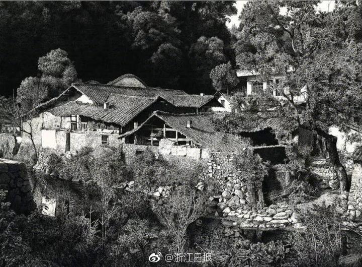 驚奇！英國動物園一黑熊用布條蘸水給自己洗澡