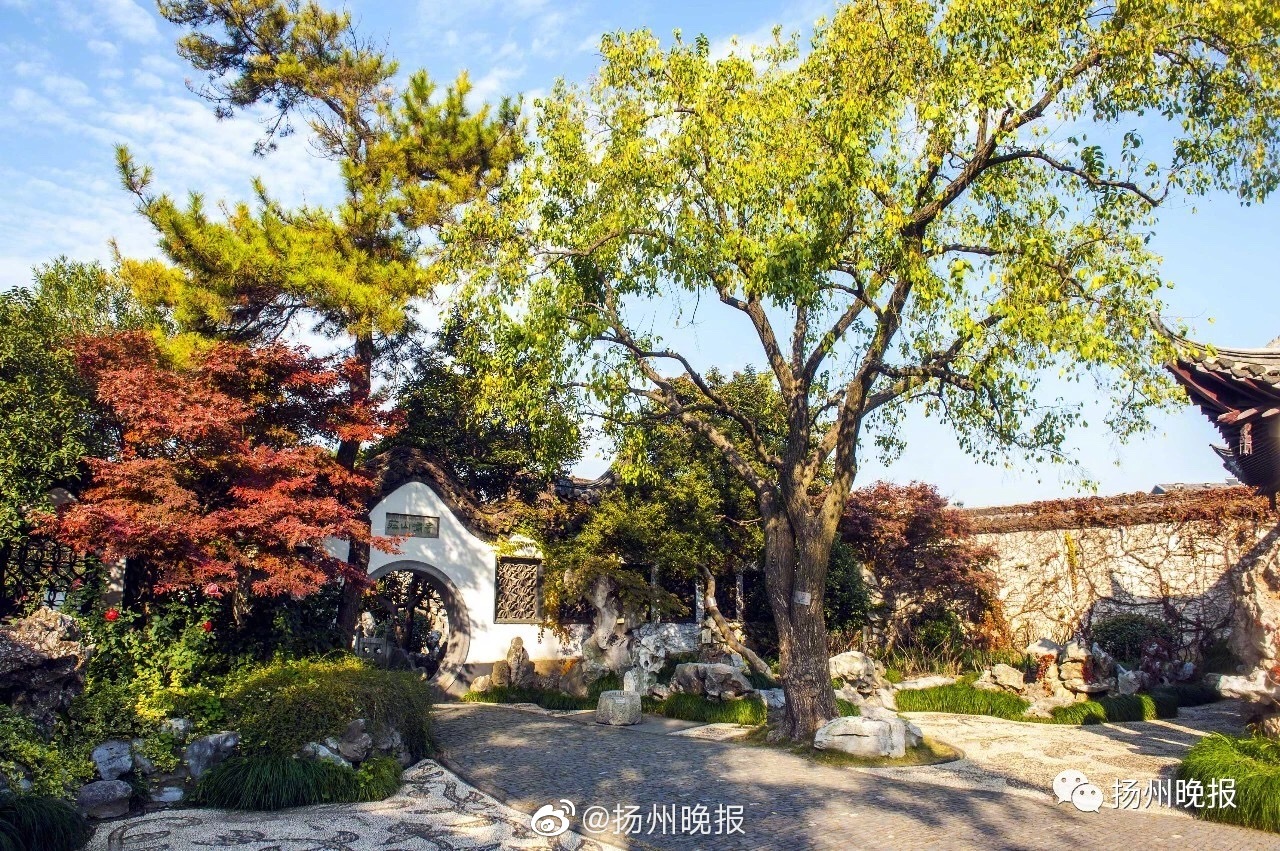 真正的高情商，是從不說這六句話