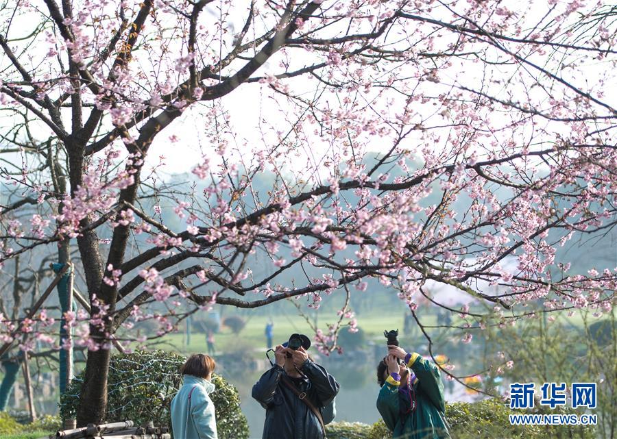 新技術助力泛在電力物聯網提質增效