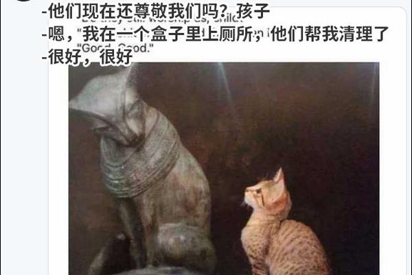 廣西壯族自治區工業領域碳達峰實施方案