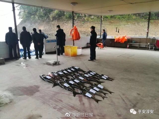 濟(jì)南繞城高速公路環(huán)線外5公里內(nèi)不得設(shè)置煙花爆竹銷售網(wǎng)點(diǎn)