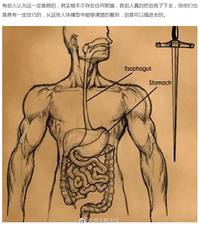 光纖行業迎大生產大發展時期
