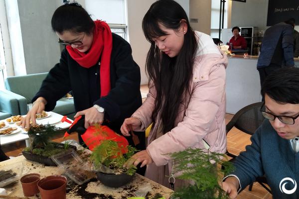 滴天居士2019年12生肖運勢，誰萬事順利