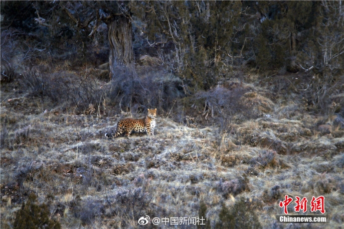 光纖傳感技術(shù)在物聯(lián)網(wǎng)中各個(gè)方面的應(yīng)用