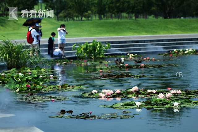 江蘇鹽城化工廠爆炸廠區(qū)被完全摧毀 核心區(qū)現(xiàn)巨坑