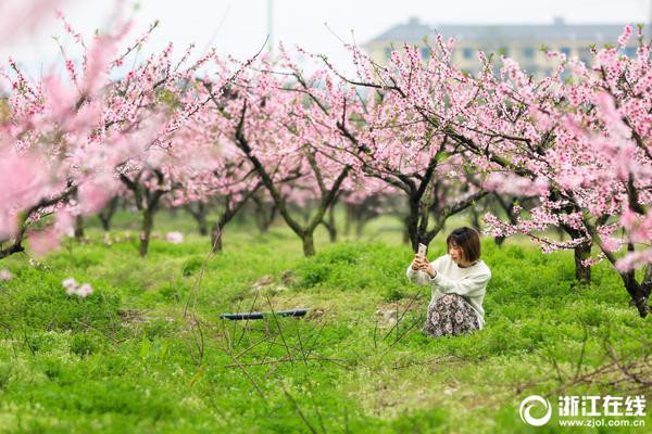 日本產綜研開發出檢測濃度范圍的氫氣傳感器