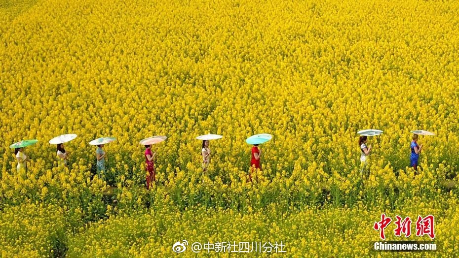 2023年10月江蘇電力市場月內連續掛牌交易結果公示