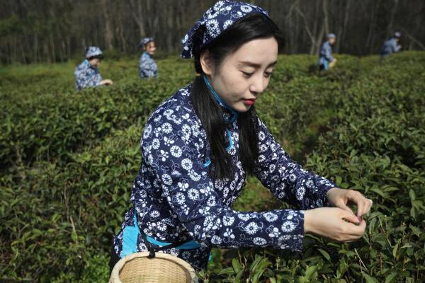 中標佛山順德2823.6萬氫能公交 燃料電池配套商竟是深圳企業！