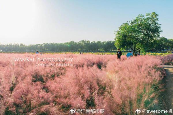 一口氣讀懂中國的銀行體系